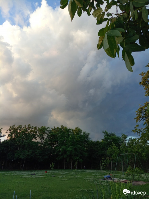 Észlelési fényképek