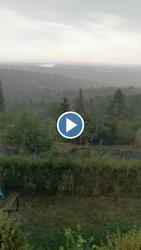 Vác-Nyulas