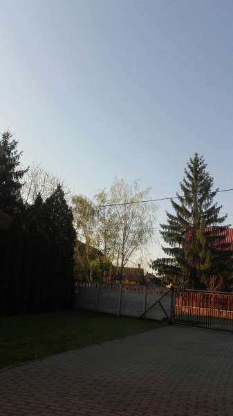 Észlelési fényképek