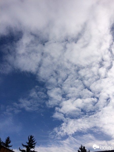 Észlelési fényképek