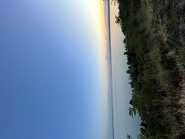 Akarattya