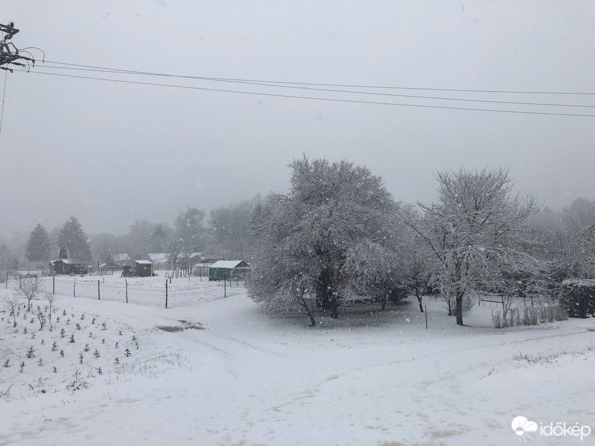 Észlelési fényképek