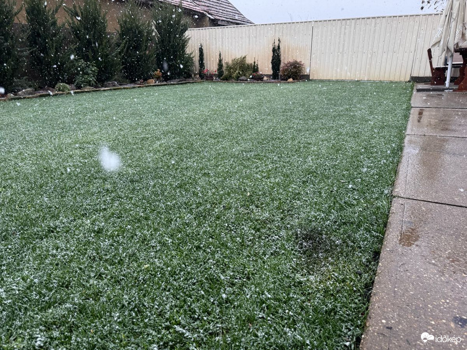 Észlelési fényképek