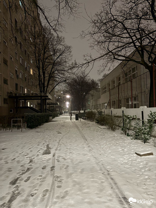 Észlelési fényképek