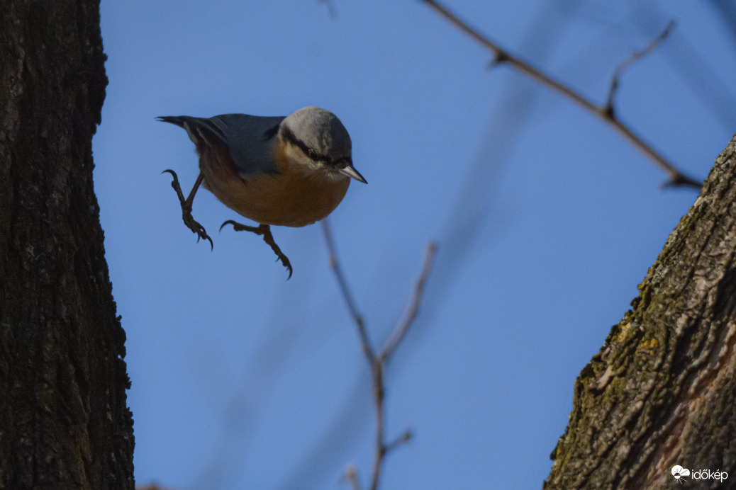 Árnyékból a fénybe
