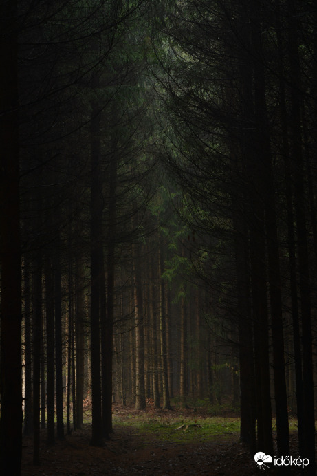 A manók birodalma :)