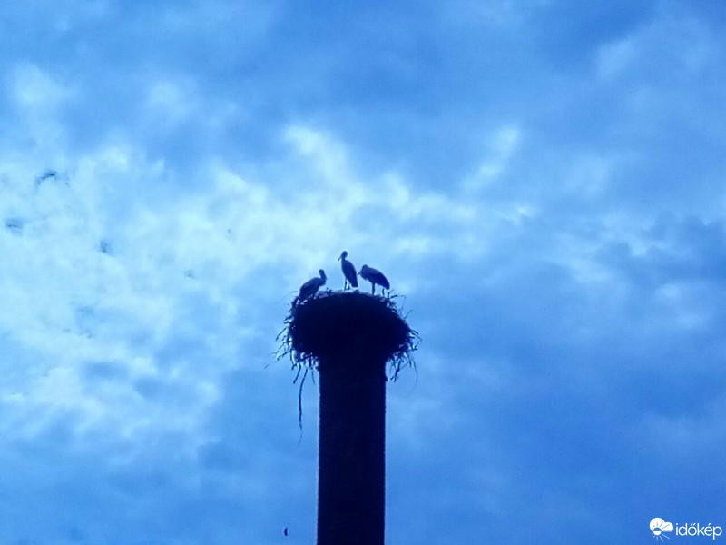 Észlelési fényképek