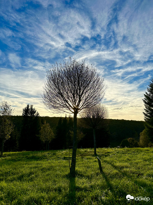 Észlelési fényképek