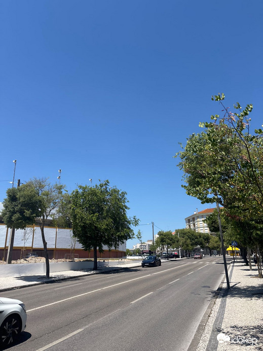 Ribeira de Santarém