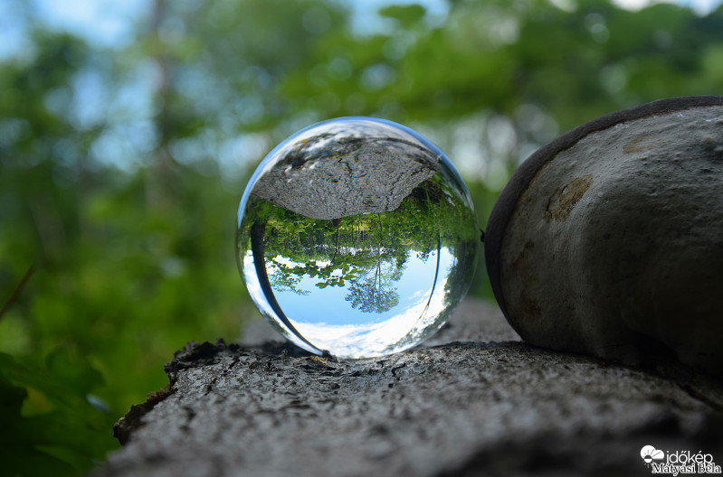 Lensball - Bükkben..