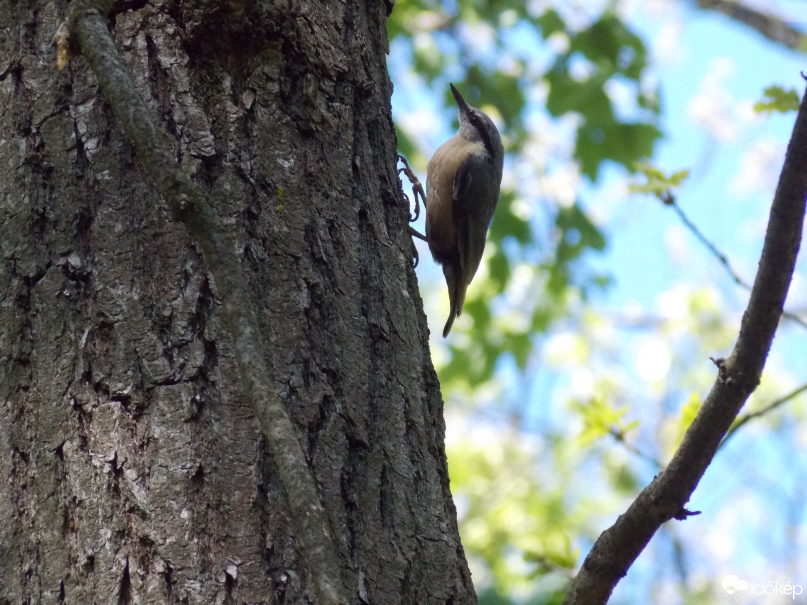 Budapest IV.ker - Újpest