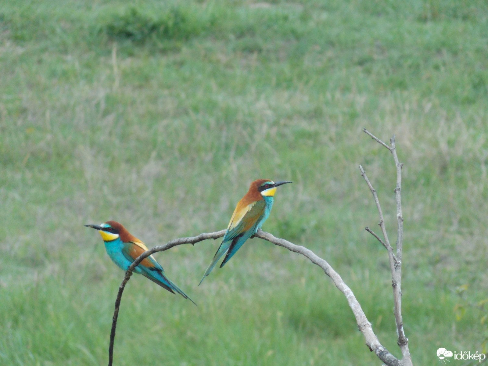 Budapest IV.ker - Újpest