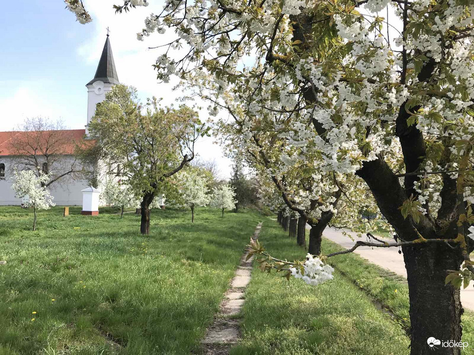 Tavasz