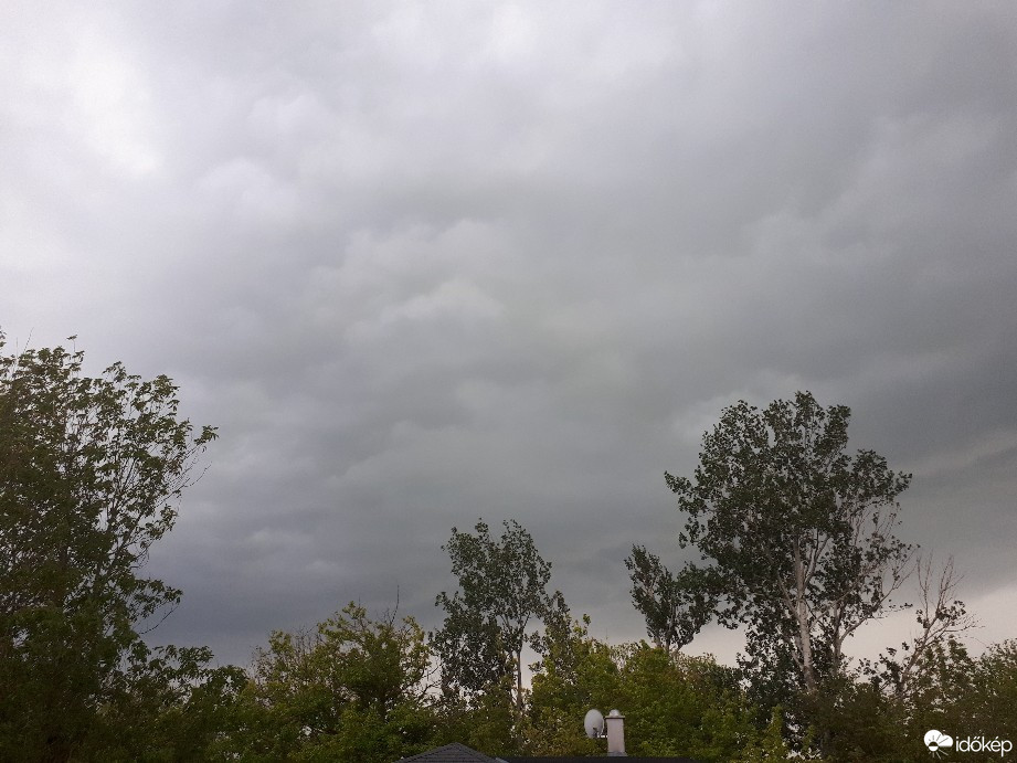 Észlelési fényképek