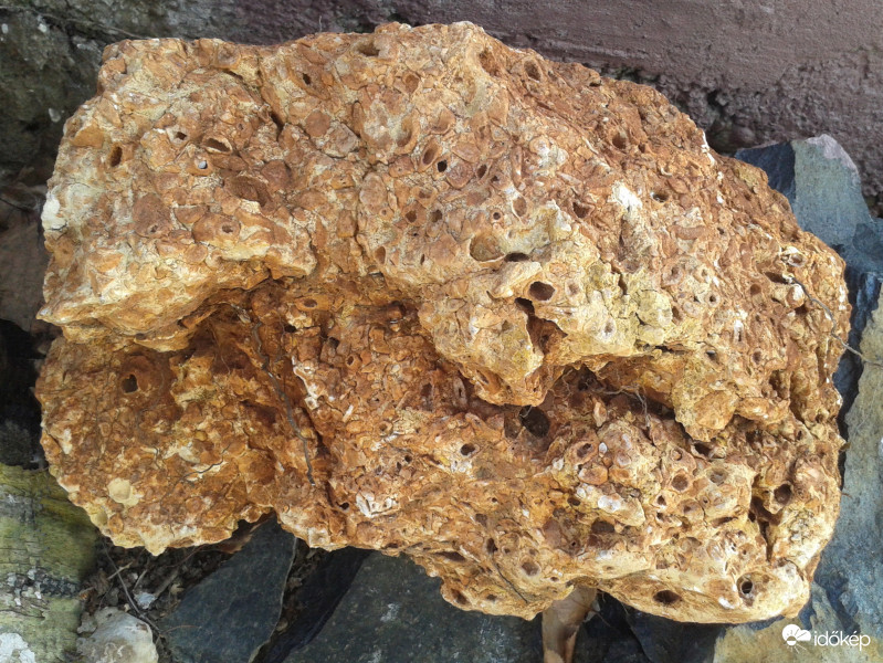 Lyukacsos mésztufát