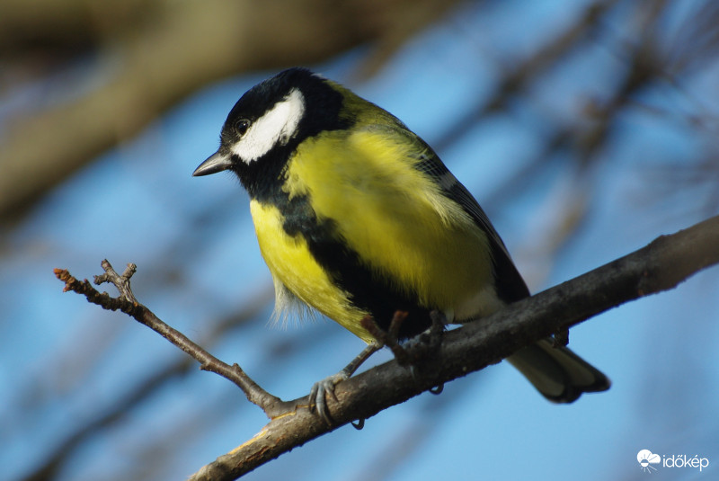 Még mindig cipő nélkül...