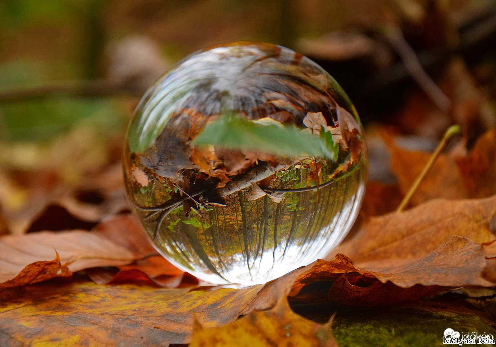 Lensball - Bükkben..