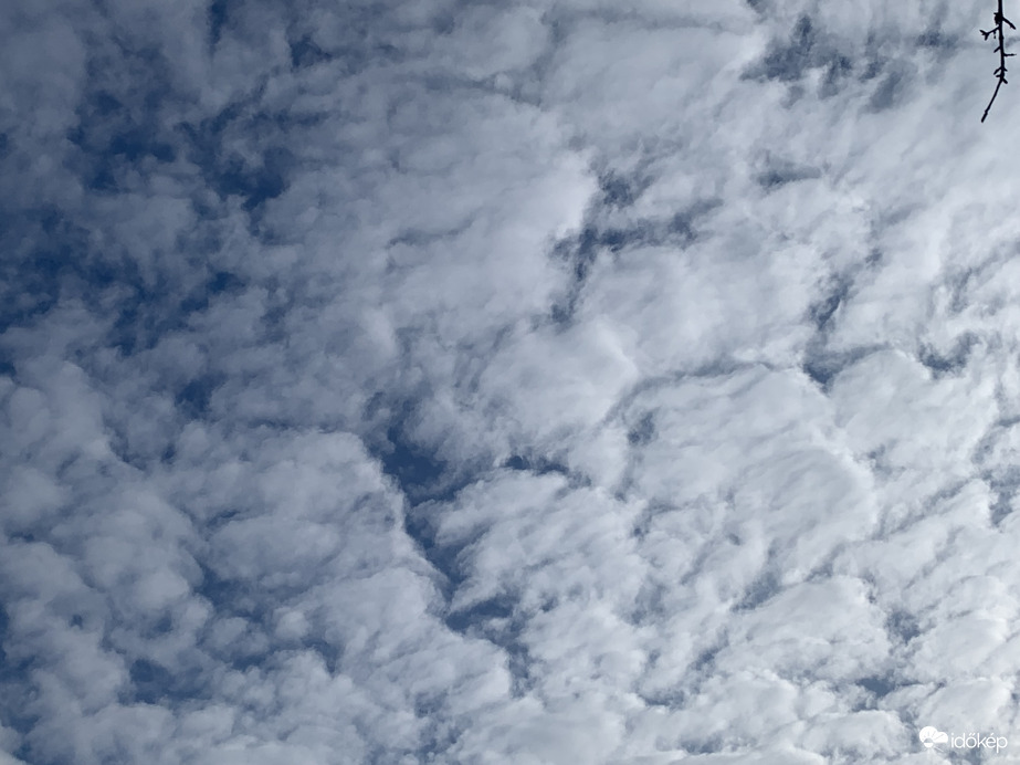 Felhő 