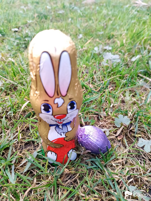 Áldott Húsvéti ünnepeket kívánok! 