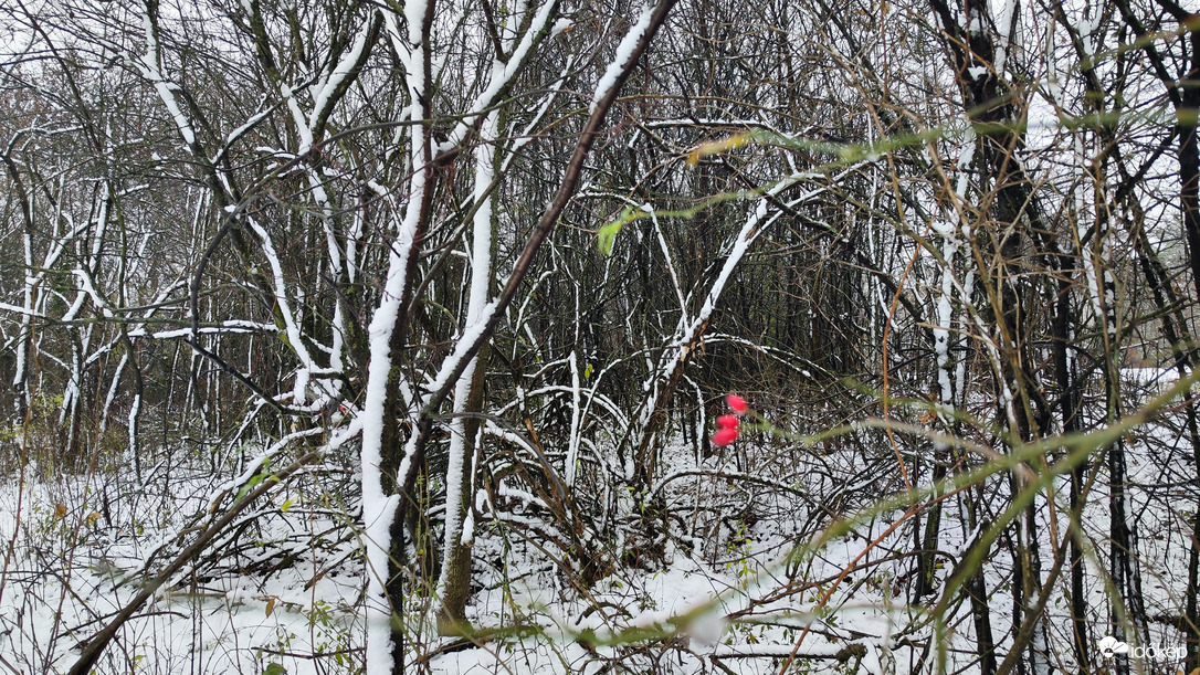 Fekete fehér + piros