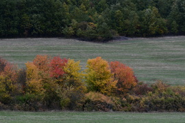 Ősz a völgyben...
