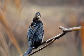 Elég már az esőből...- Tél végi hangulat