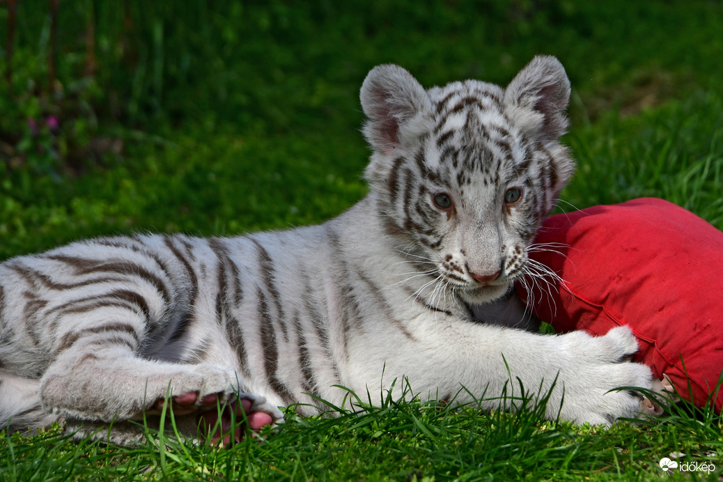Szép vasárnapot mindenkinek! :)