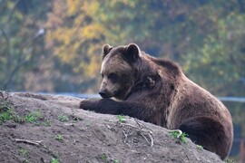 Ébresztő a téli álomból... Nincs árnyék, kint lehet maradni :)