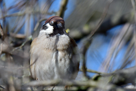 Végre süt a nap...