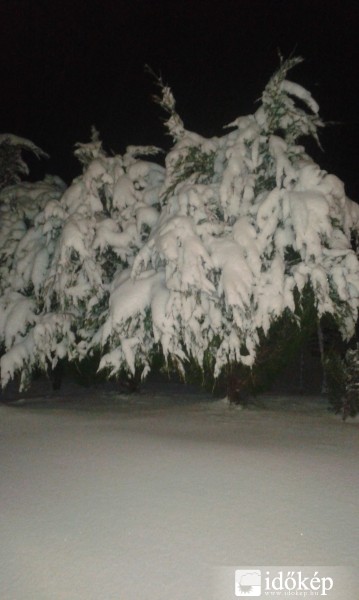 Észlelési fényképek