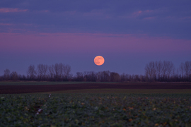 2026 első teliholdja