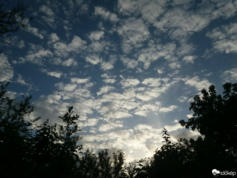 Észlelési fényképek