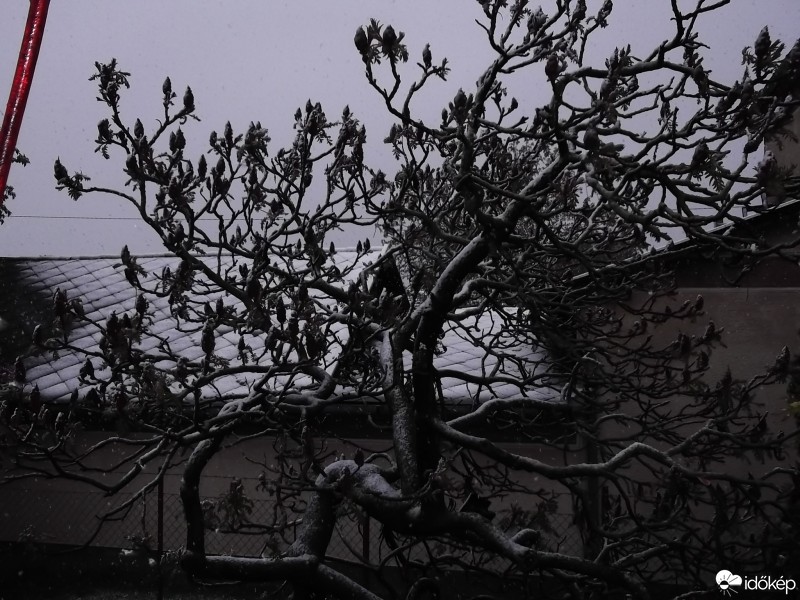 Észlelési fényképek