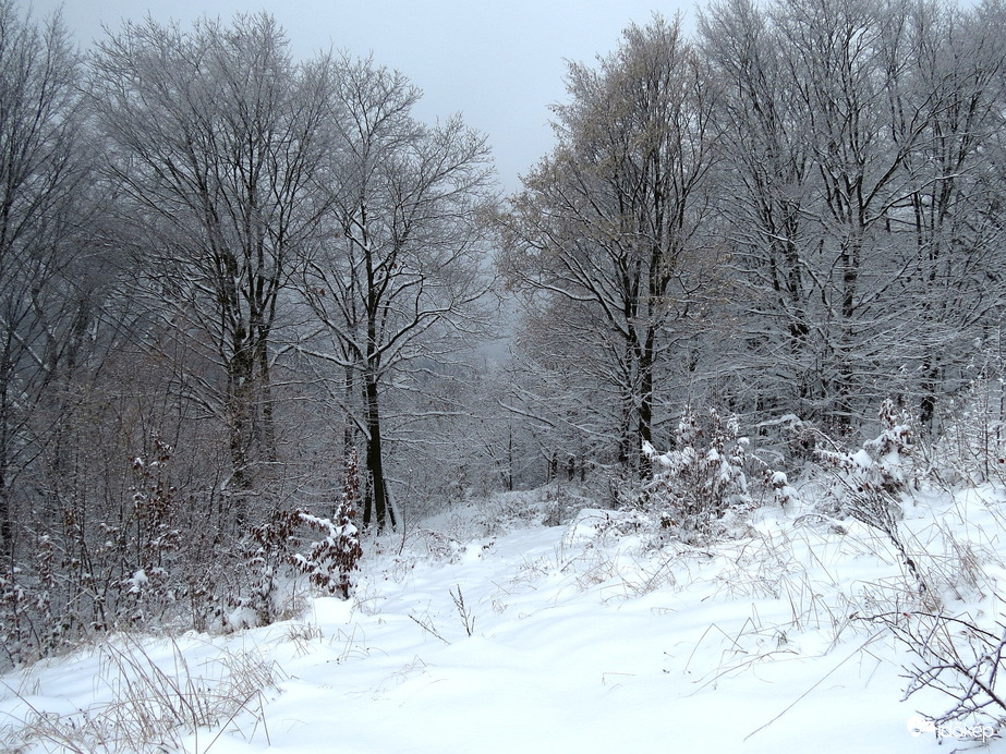 Bükkszentkereszt 2025.11.24