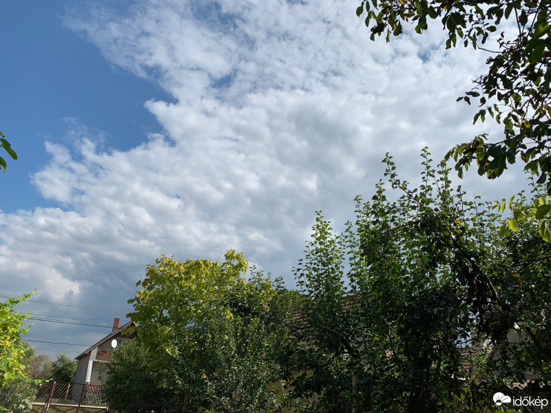 Észlelési fényképek