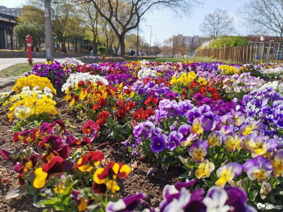 Budapest IV.ker - Újpest