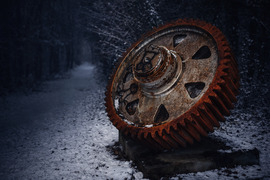 Az erdő mélyén felejtve