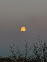 Budapest XXII.ker - Budafok