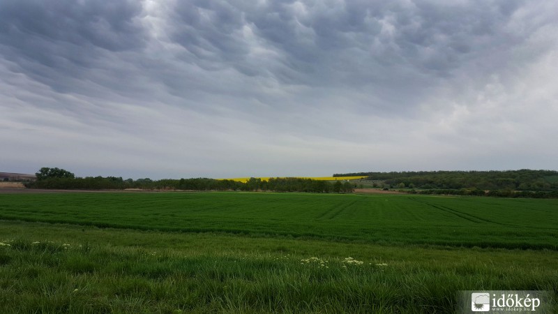 Észlelési fényképek