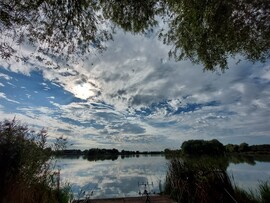 Székely