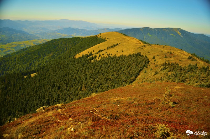 Piskonya nyugati ága