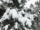 Január 31-i hóhelyzet 2.
