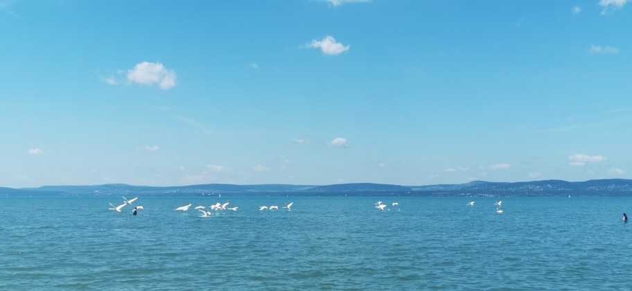 Balatonszárszó