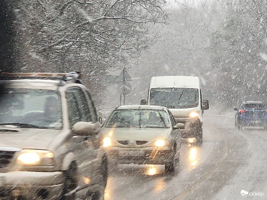 Észlelési fényképek