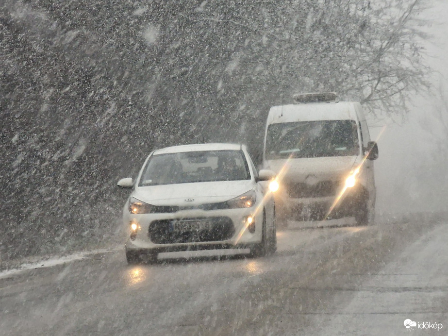 Észlelési fényképek