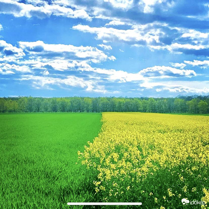 Csidei Edina fotója