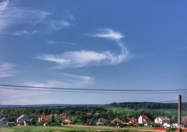 Kengyelfutó Gyalogkakkuk