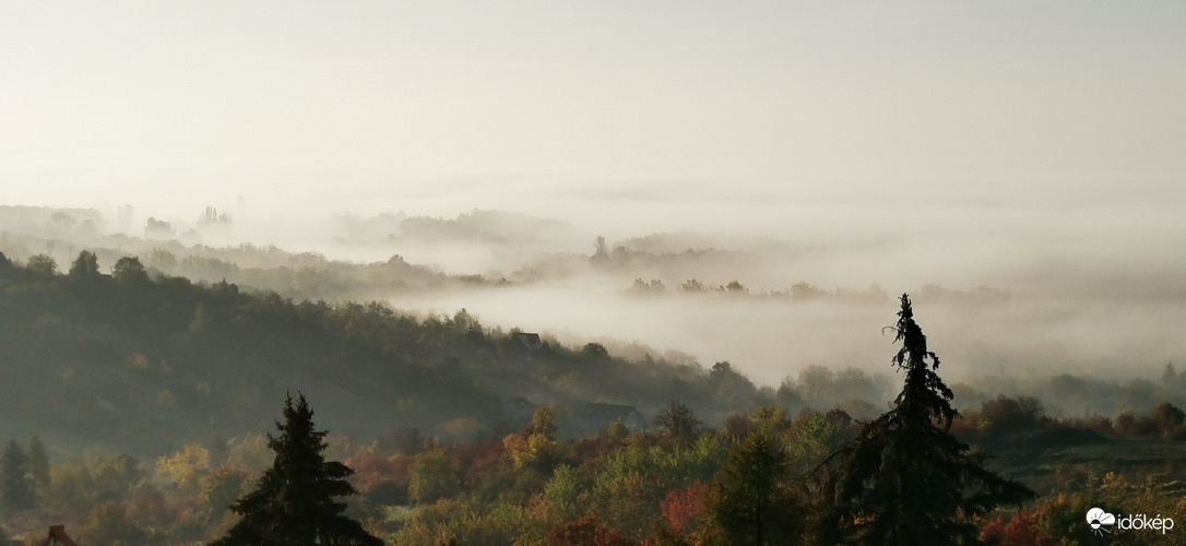  Ködös reggel 
