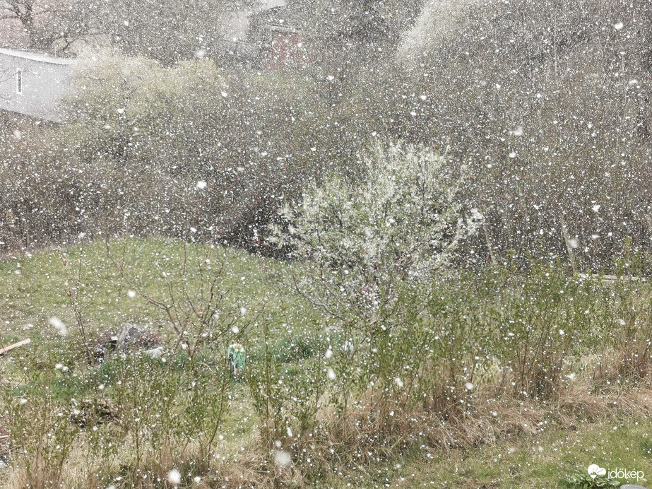 Délutáni hózápor 