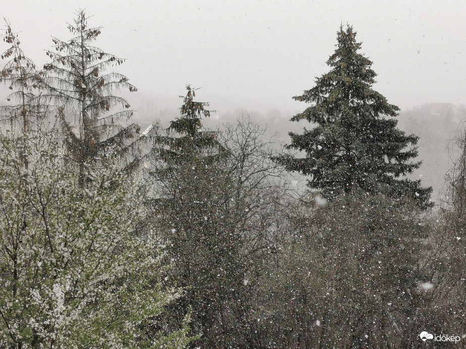Délutáni hózápor 2.